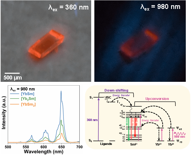 20230914-2.png 20230914-2.png